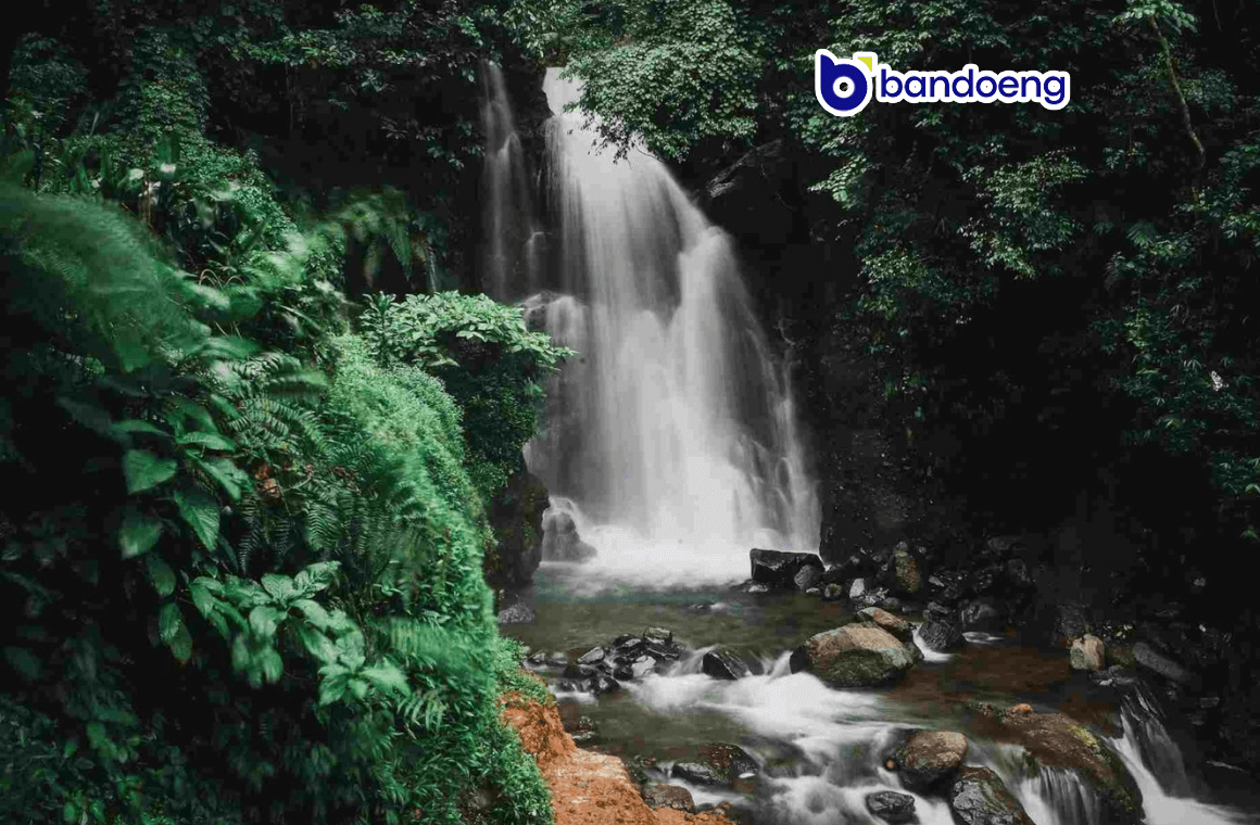Pagi-Pagi di Curug Cibekong: Rahasia Alam yang Tak Terlupakan